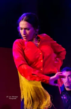 Espectáculo Flamenco Ca Revolta - Foto del evento
