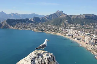 Qué hacer hoy en Alicante